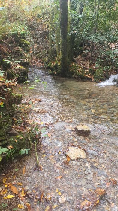 Quinta com ribeira, vistas para a serra – Monte Redondo