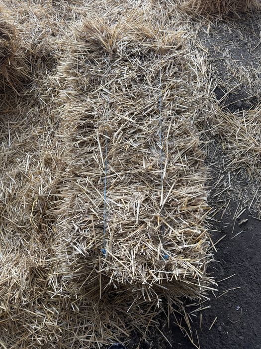 Продам солому в тюках