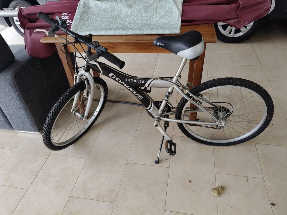 Bicicleta Dominus