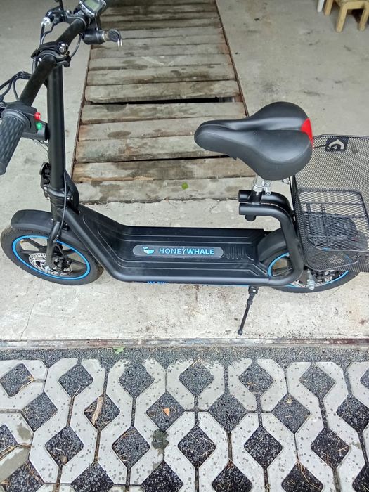 Hulajnoga elektryczna 12 cali Honey Whale 2024