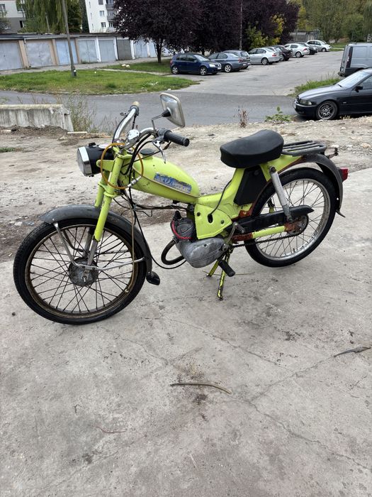 Komar