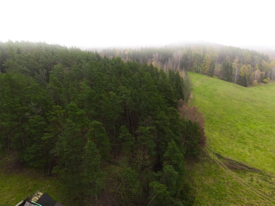 Działka budowlana przy lesie | MPZP | media | Mazury
