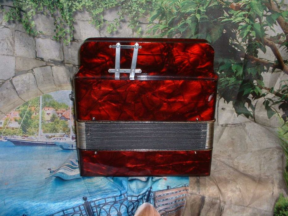 Concertina a venda n.816