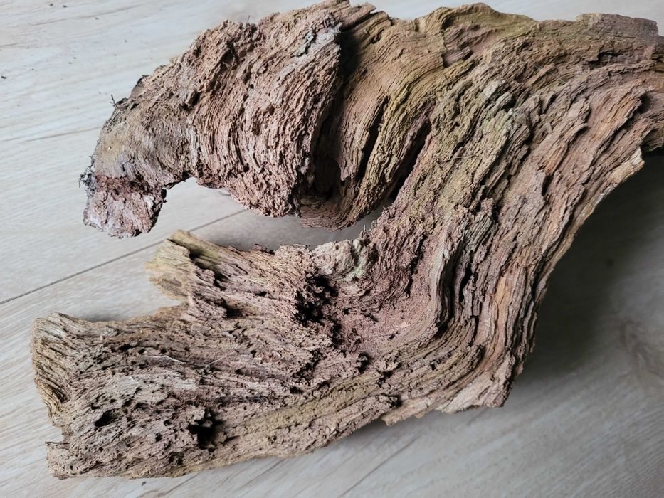 korzeń naturalny do akwarium / terrarium agama , gekon