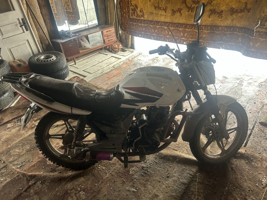 Мустанг 200 кубів на ходу обмін також цікавить навіть на авто