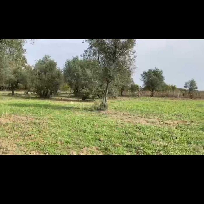 Excelente oportunidade  de ter um quinta junto au castelo de Monsaraz