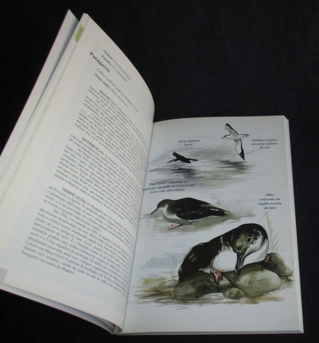 Livro Guia de Campo das Aves Duarte B. Câmara