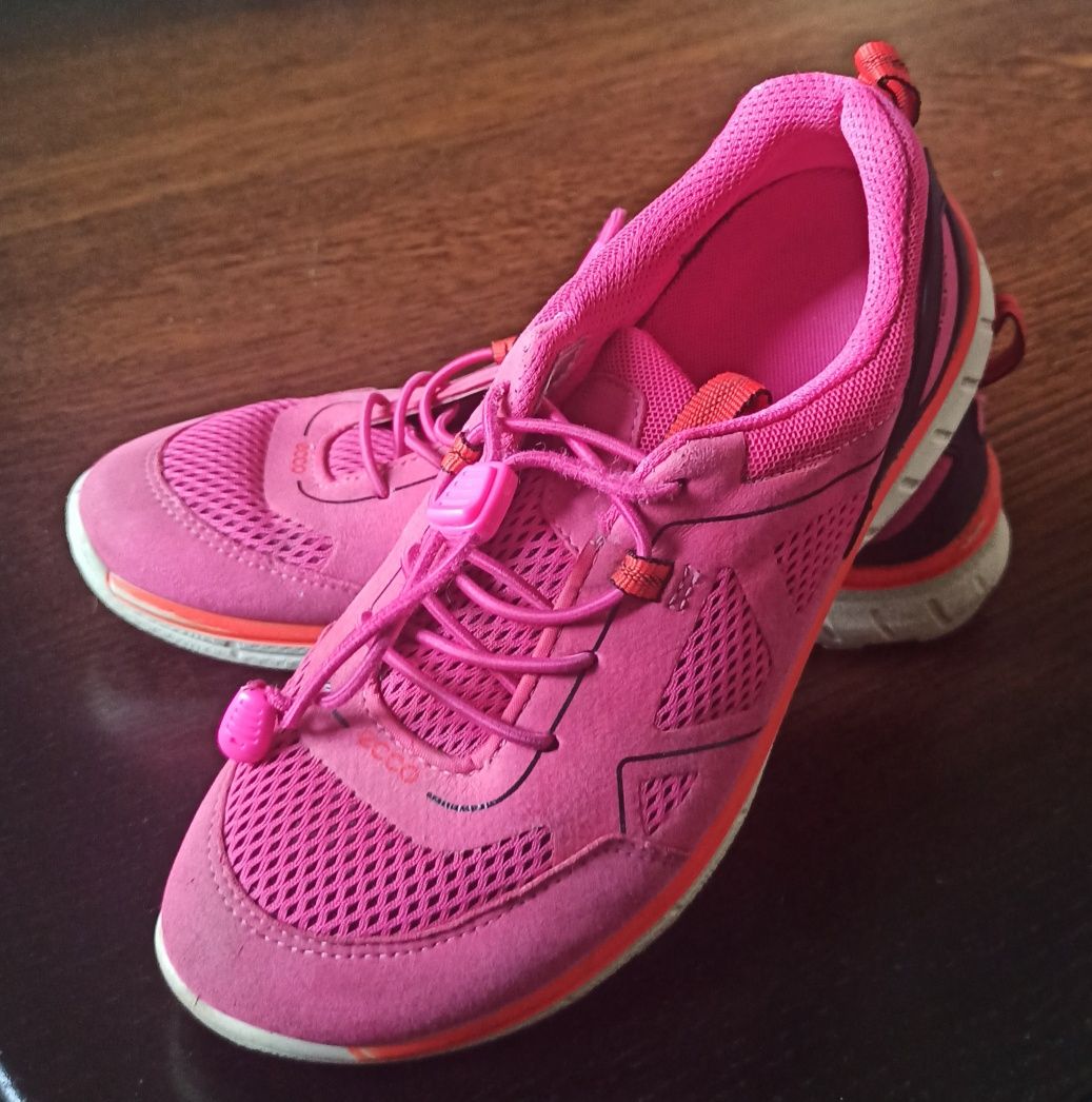 Ecco biom 34 hot sale