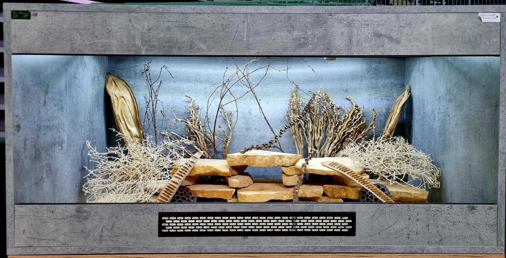 Terrarium 120x60x60 dla gekona agamy jaszczurki