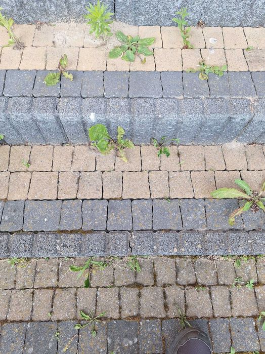 Obrzeża palisadowe grafit z rozbiórki