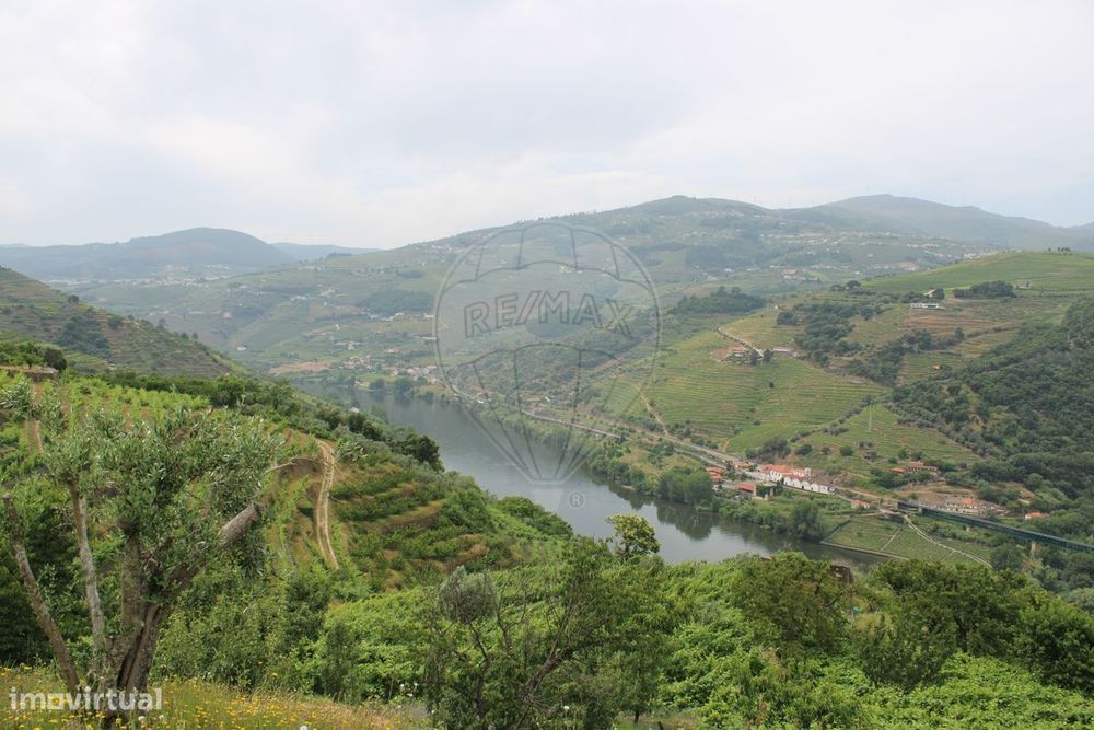 Moradia T0 para venda — Vila Nova Souto D'El-Rei, Viseu