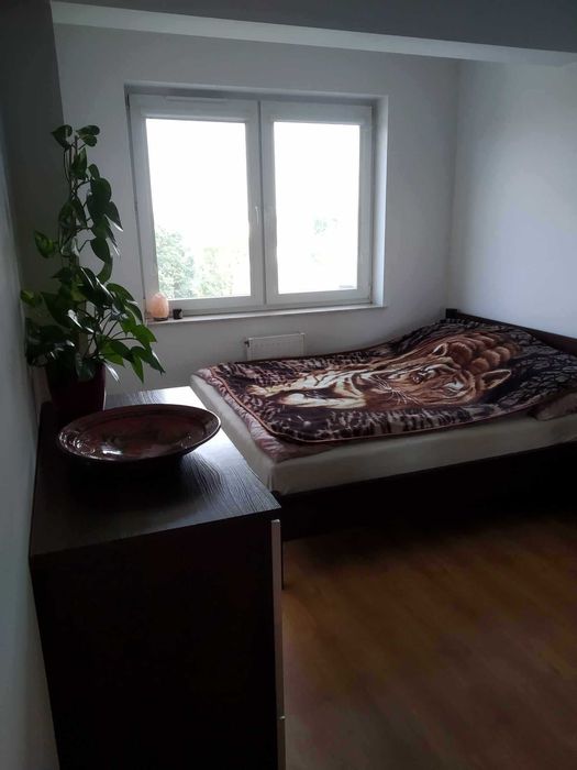 3 pokoje osobna kuchnia WYNAJMĘ od 01.06.2026 Manganowa - Widok 2
