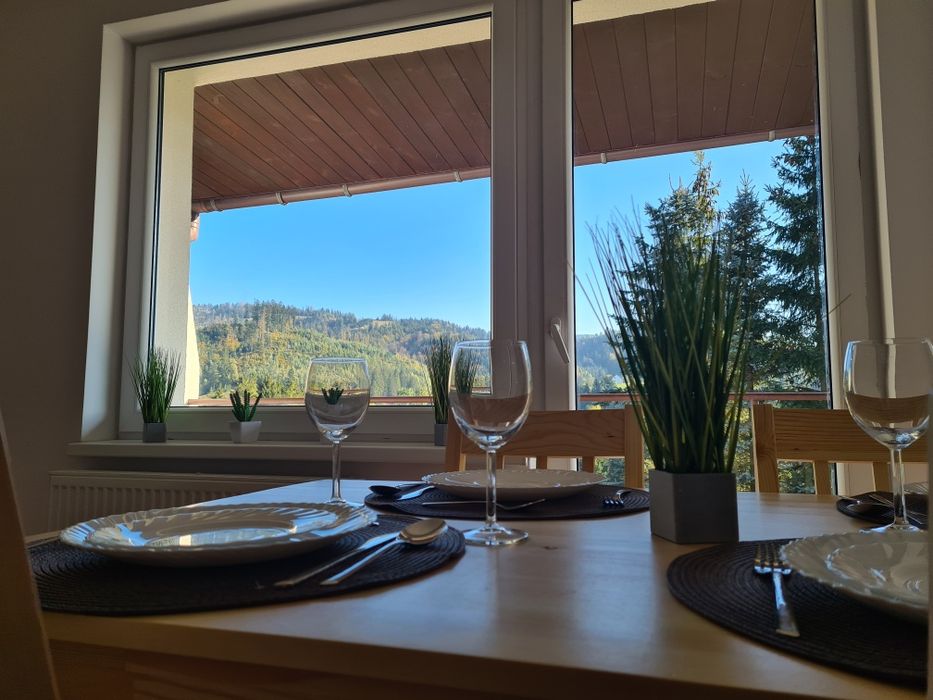 Apartamenty 4-osobowe z aneksami kuchennymi, jacuzzi, sauna, basen