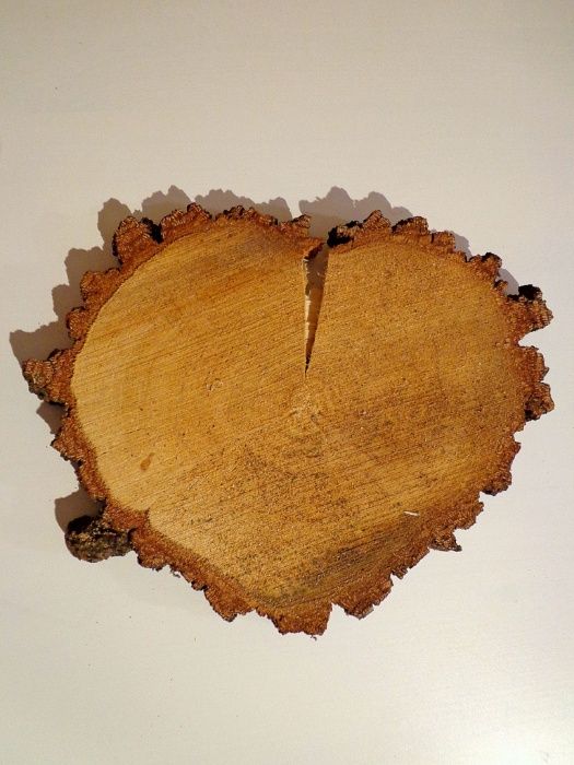 Producent Plastrów drewna 3-50cm sprzedaż brzoza plastry dąb