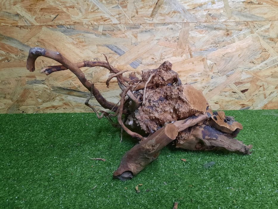 Korzeń do akwarium Red Moore Wood nr 839 o wymiarach 42/24/21