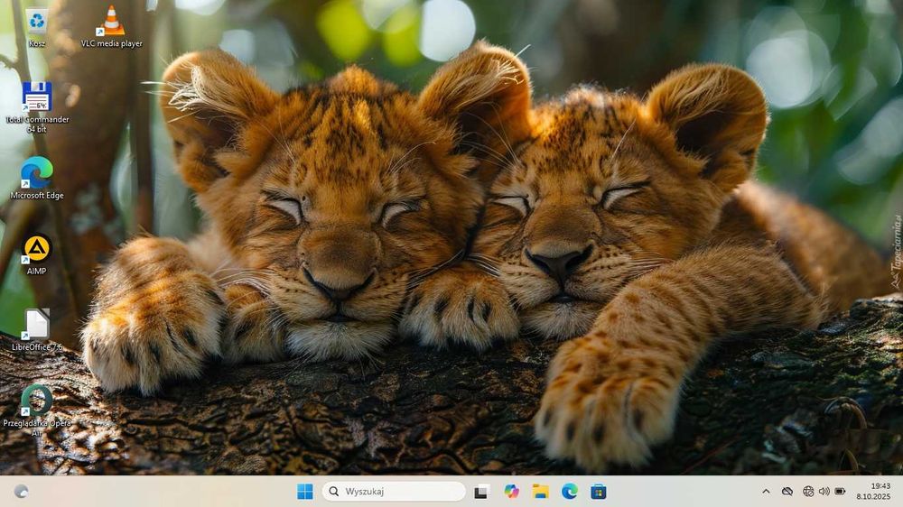 TANIO Dell Vostro 3460 IntelCore i5/8GbDDR/256SSD/GeForce/Bateria3H