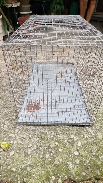 Gaiolas em rede galvanizada