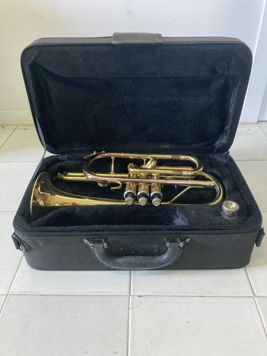 Cornetim J. Michael Bb CT-420.