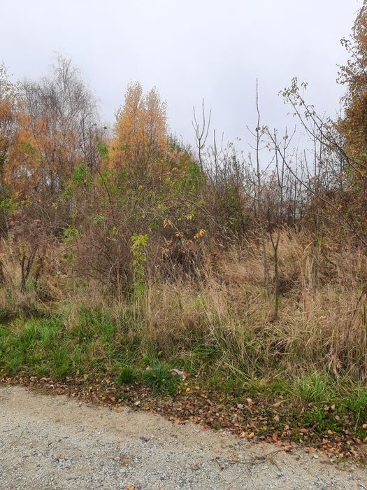 System nawodnienia i odwodnienia , drenaż