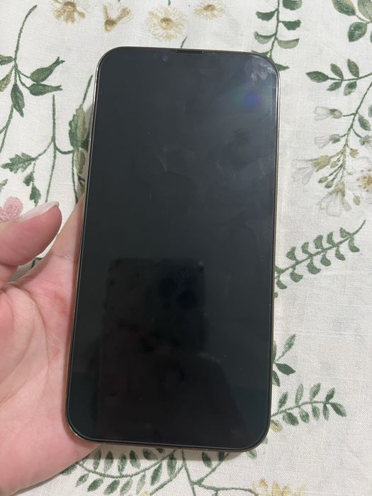 Iphone 13 pro max