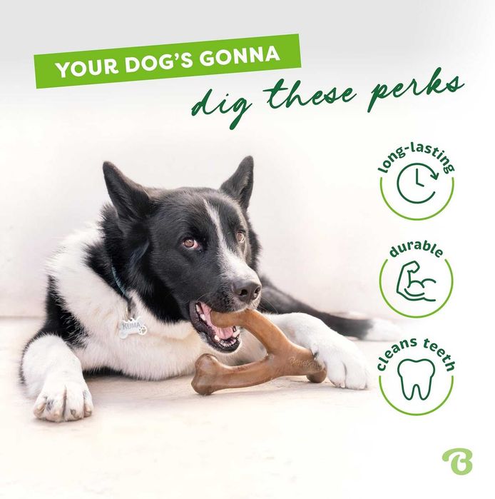 Жувальна іграшка Benebone Wishbone для агресивних собак, США