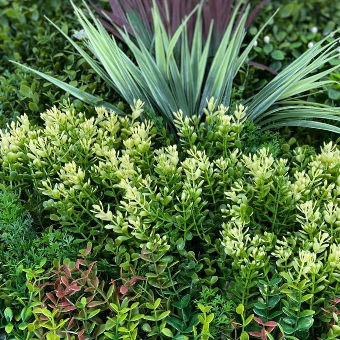 Jardim Vertical - GRAZE