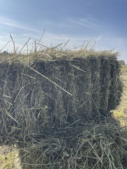 Продам сіно в тюках