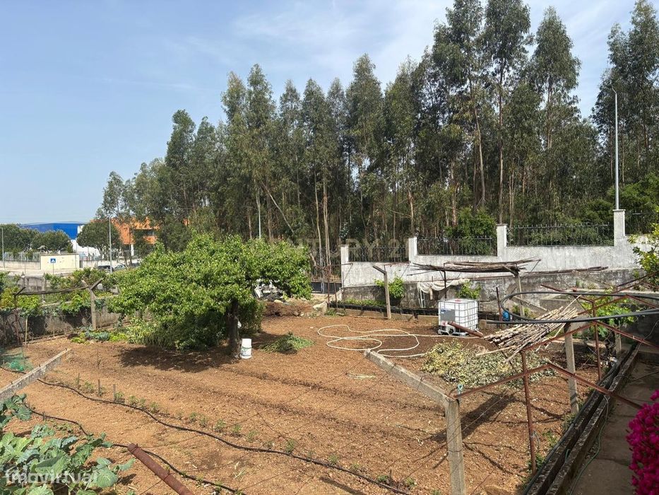 Terreno para Construção em Altura – Entroncamento — Nossa Senhora de Fátima, Santarém