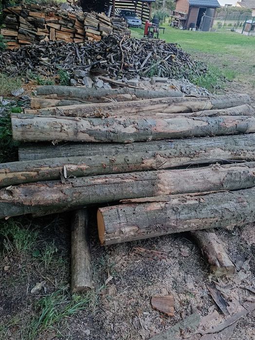 Drewno kominkowe opałowe buk, dąb, inne. Suche/ mokre