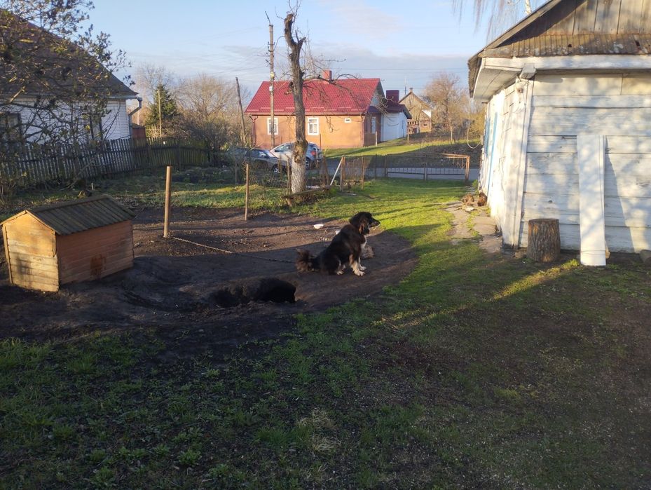 Будинок з земельною ділянкою