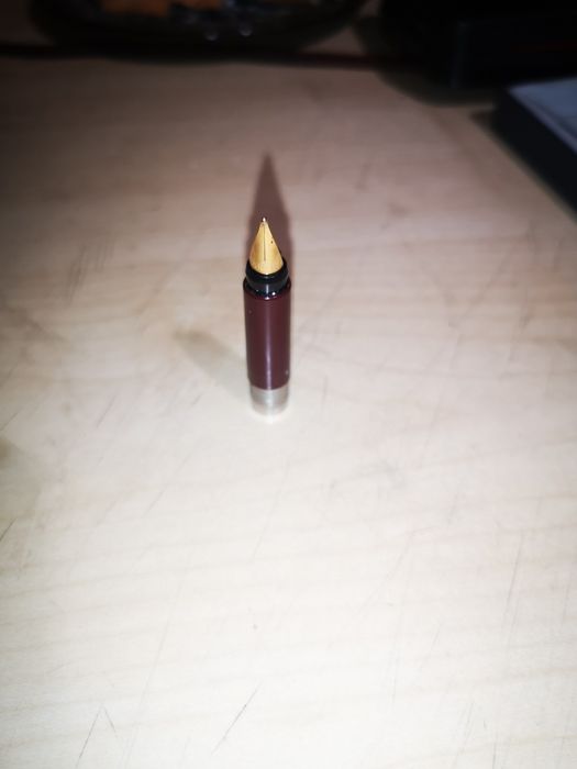 Parker ozlacana stalowka