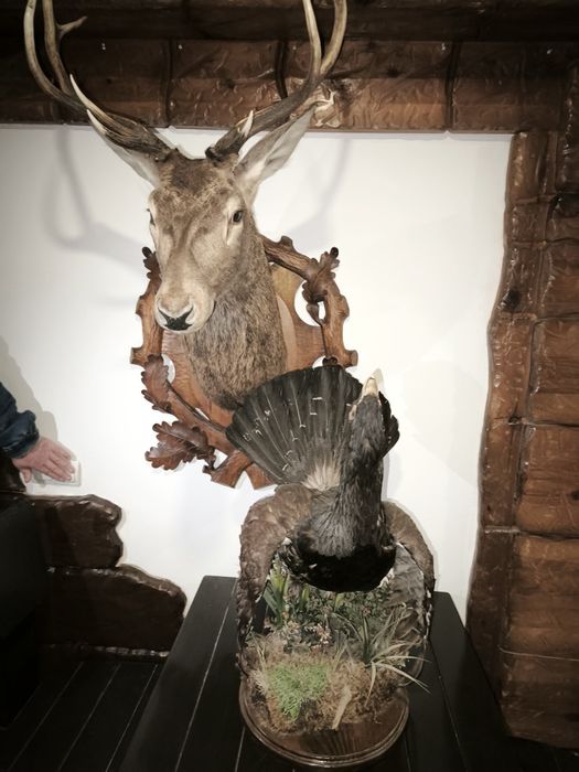 Оренда кафе з всім оборудованням.