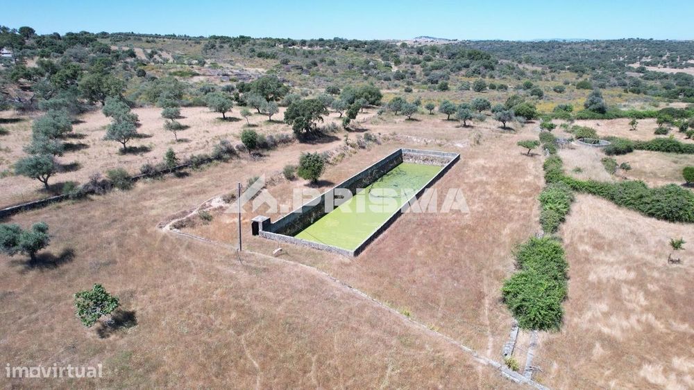 Herdade para Venda em Castelo Branco