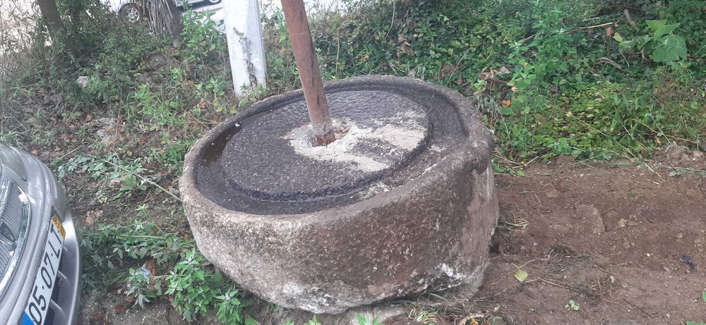 prenssa de uvas para adorno de jardim