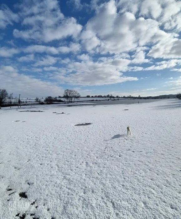 Ділянка на березі озера 24с Цвіжин