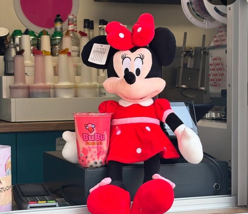 Odstąpie leasing(bez odstępnego)-Bubble Tea +maszyna do lodów