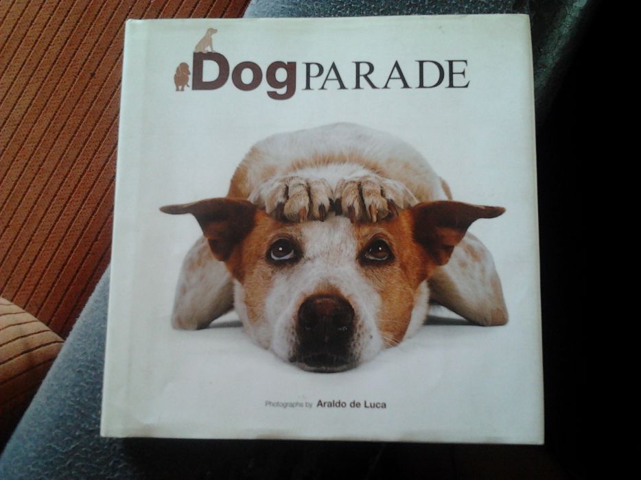 dog parade by araldo de luca