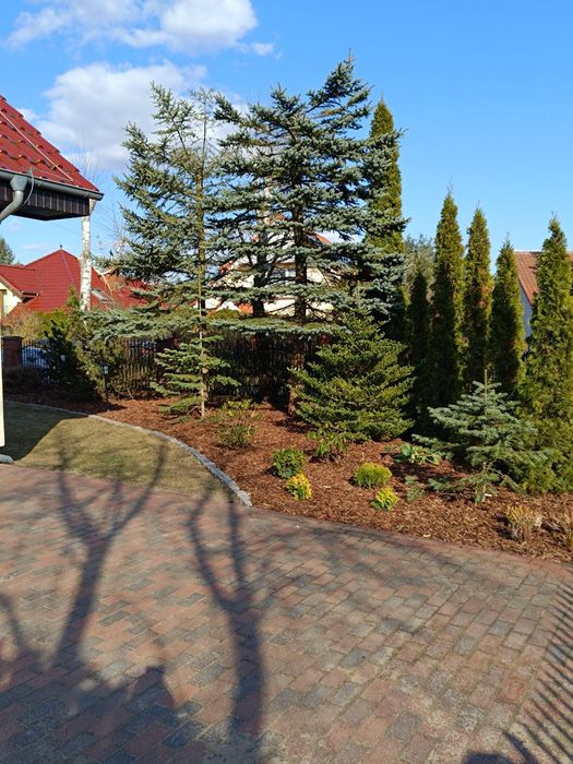 Usługi ogrodnicze AWM Garden | Koszenie | Trawniki | Żywopłoty
