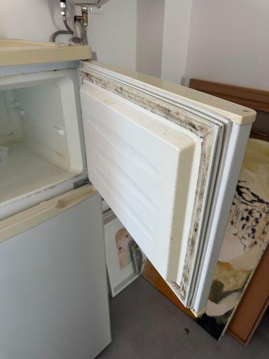 Frigorífico combinado