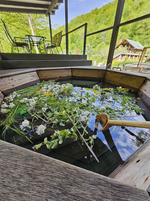 Будинок в горах деревʼяний подобово « Wow дача », чан і гірська річка