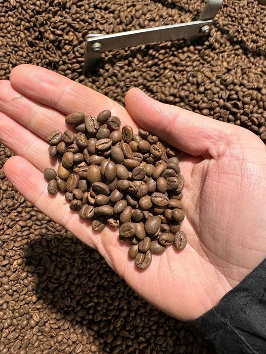 Кава ЗЕЛЕНА гурт (опт)