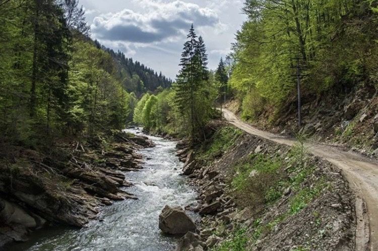 46 сот біля річки ,тиша та природа! Черемош  , без сусідів ,супер ціна