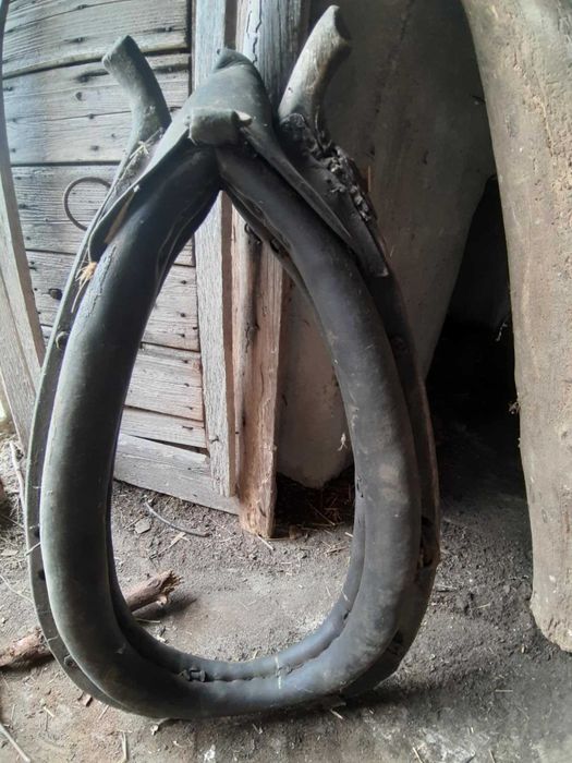 Stare chomąto dla konia