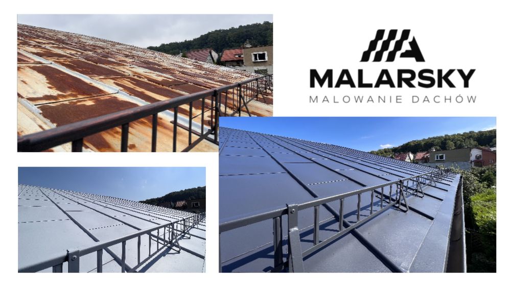 Malowanie, mycie dachów oraz ogrodzeń betonowych