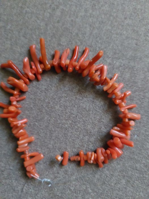 Stary koral naturalny antykwaryczny