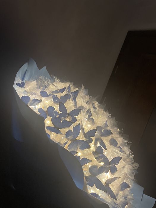 Букет з метеликів