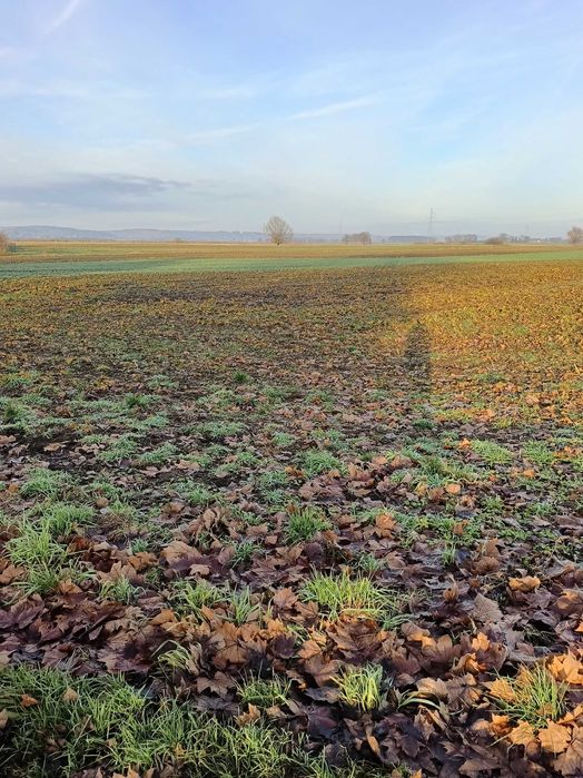 Działki na sprzedaż