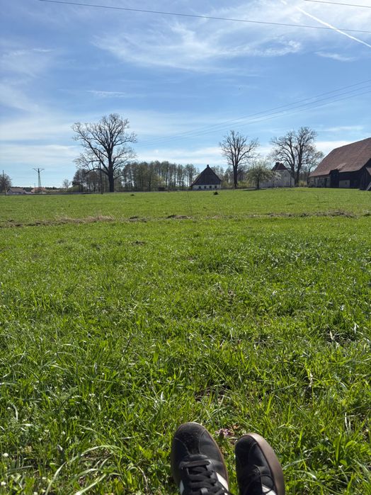 Siedlisko z działką 1,37 ha