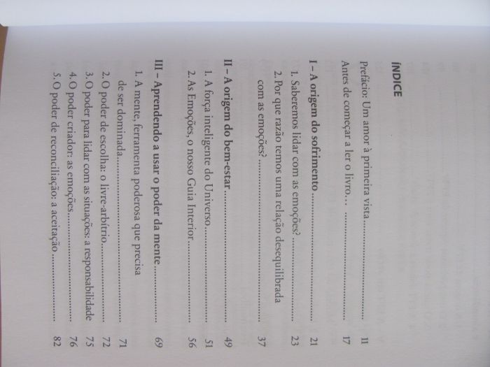 Curar em Minutos de Louise Fannon