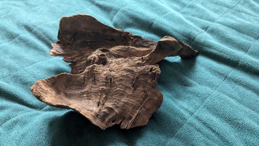 Korzeń akwarystyczny - ok 20cm.